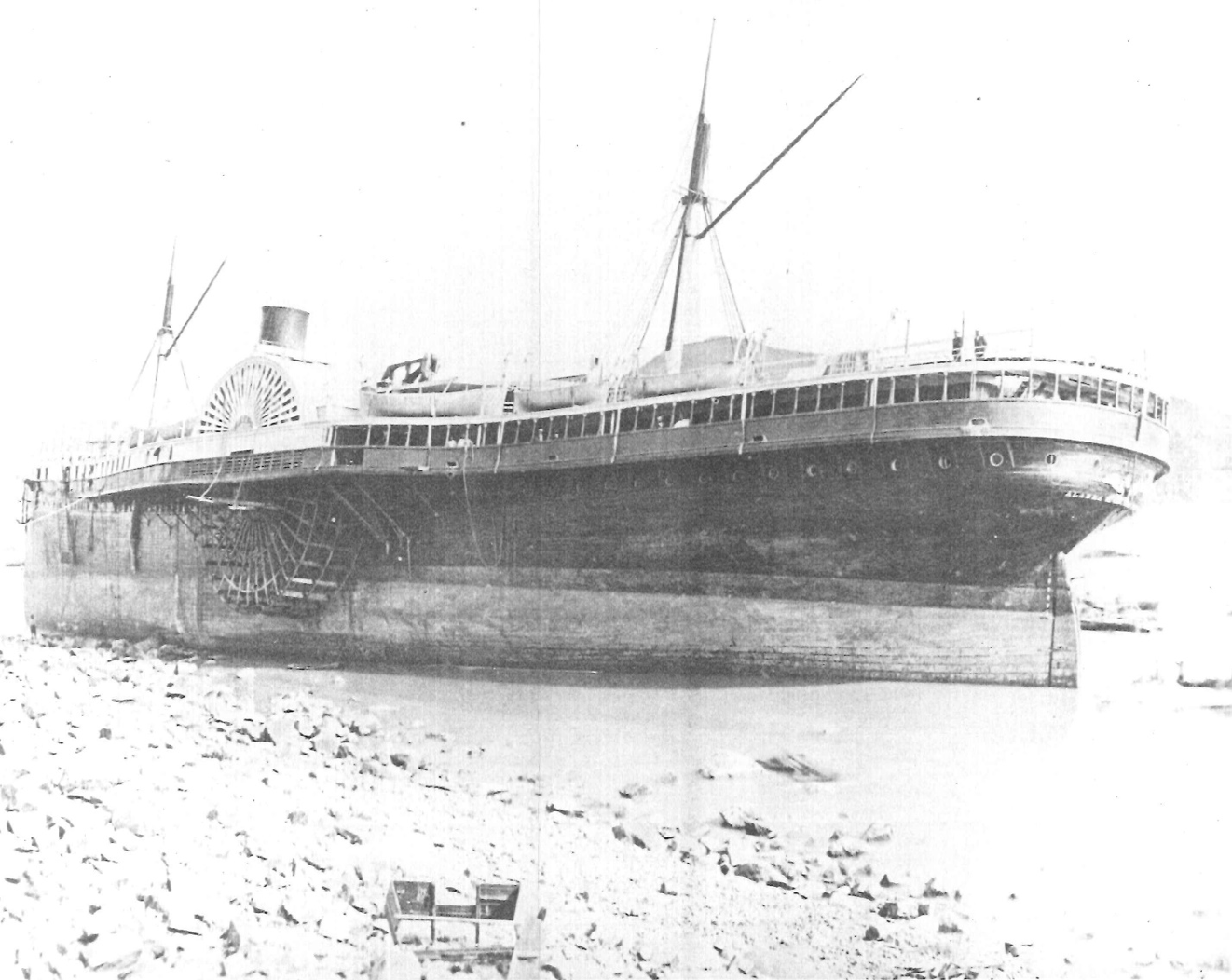 Leong figure5