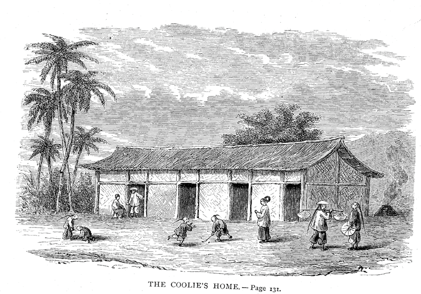 Fig 7. Billings The Coolies Home