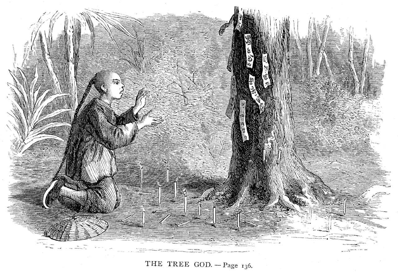 Fig 8. Billings The Tree God
