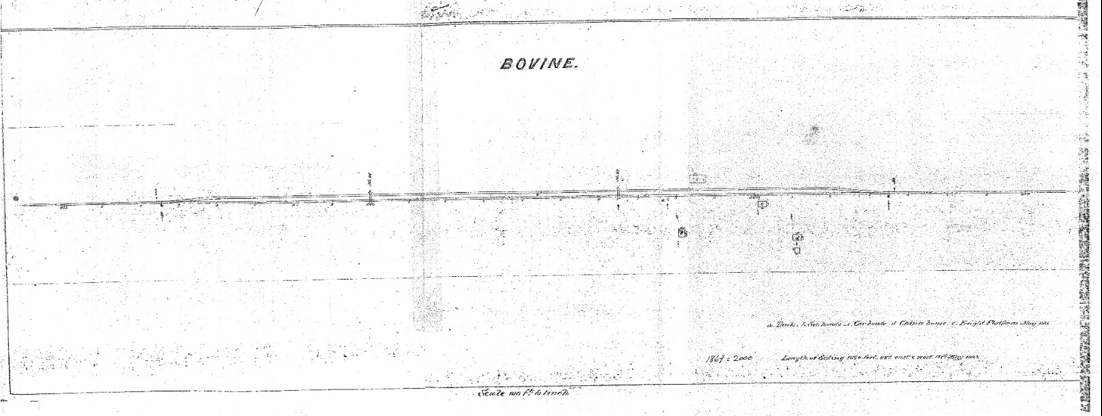 Figure for Bovine Station